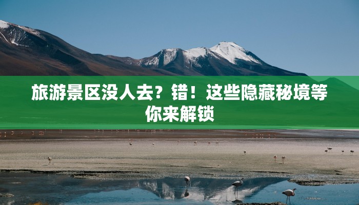 深圳疫情情况最新：科学防控下的城市韧性与新生