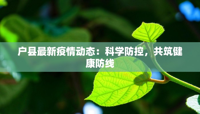 户县最新疫情动态：科学防控，共筑健康防线