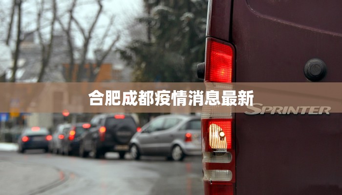 四川省最新防控疫情：守护健康，筑牢安全防线