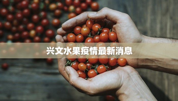 游仙区疫情最新报告