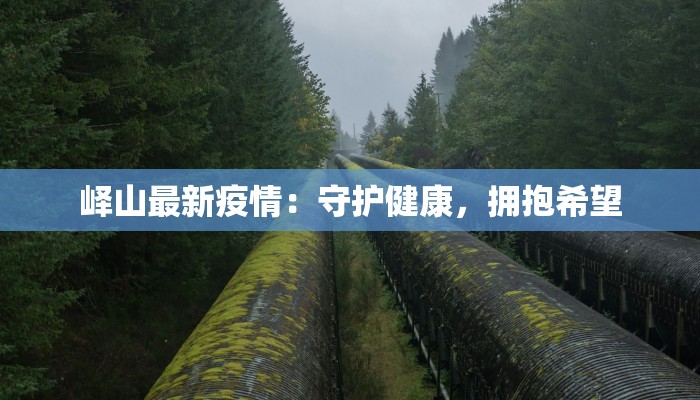 茘浦疫情最新：科学防控，共筑健康屏障