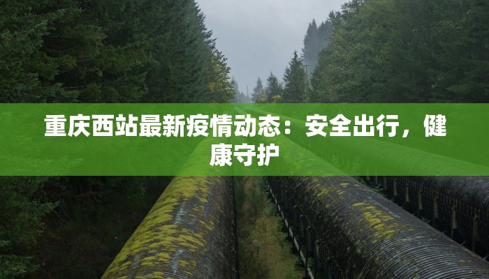 重庆西站最新疫情动态：安全出行，健康守护