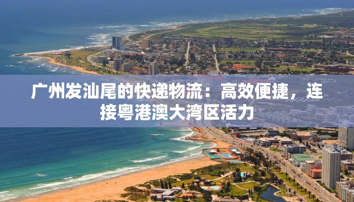 广州发汕尾的快递物流：高效便捷，连接粤港澳大湾区活力