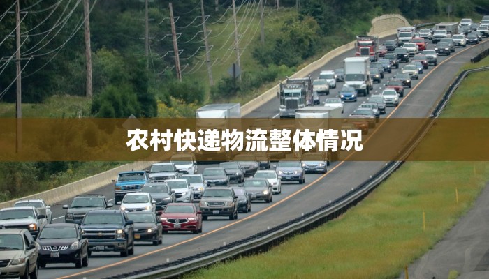 农村快递物流整体情况
