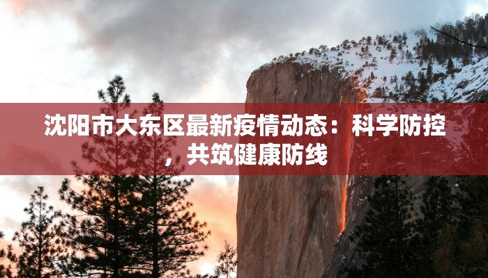 陕西富康最新疫情：科学防控，守护健康未来