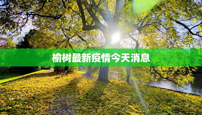 潮河最新疫情通报