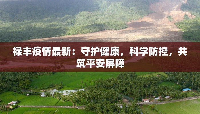 禄丰疫情最新:守护健康,科学防控,共筑平安屏障 禄丰疫情最新:守护健康,科学防控,共筑平安屏障