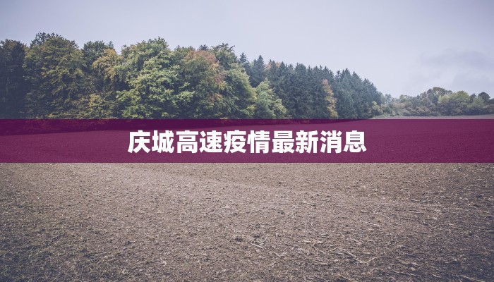 庆城高速疫情最新消息 庆城高速疫情最新消息