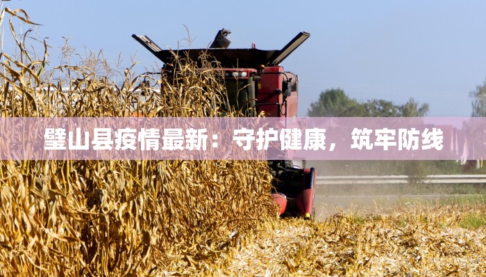 璧山县疫情最新:守护健康,筑牢防线 璧山县疫情最新:守护健康,筑牢防线