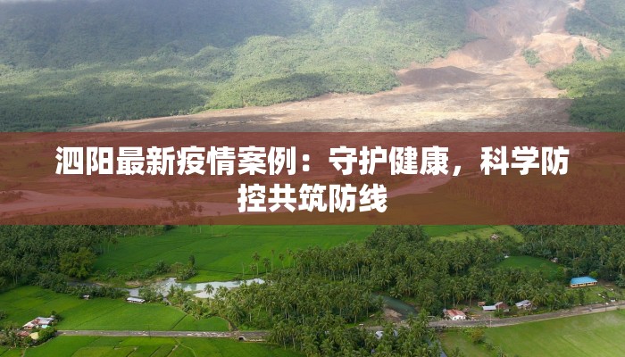 枣强疫情最新消息源：权威指南，守护健康出行